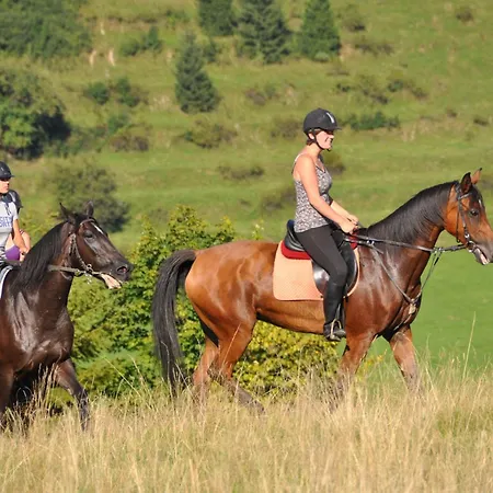 Nawigator Szczawnica